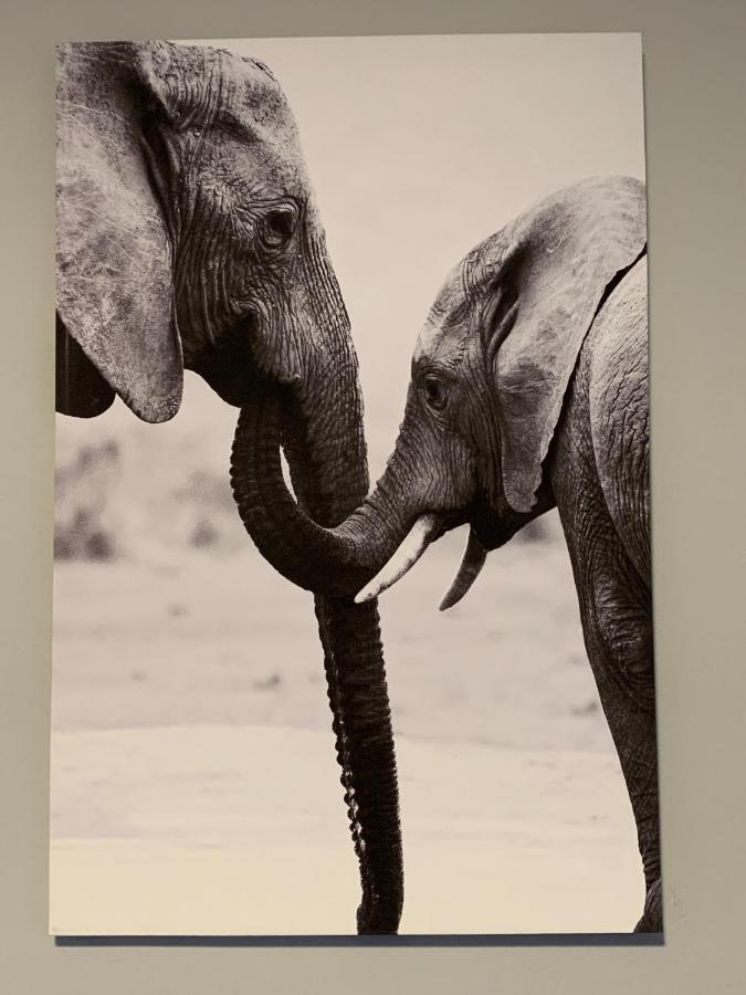 Elephant House, 2 Bedroom House, Next To Pilanesberg And Sun City Mogwase Kültér fotó
